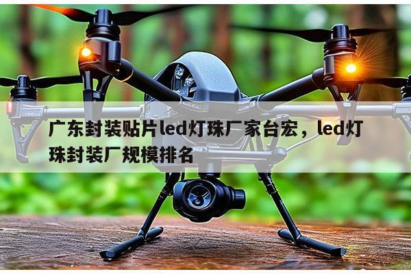 广东封装贴片led灯珠厂家台宏，led灯珠封装厂规模排名-第1张图片-led灯珠, 贴片led灯珠, 直插led灯珠, 大功率灯珠, 3528灯珠, led灯珠厂家广东台宏光电科技有限公司 服务热线400-689-8189