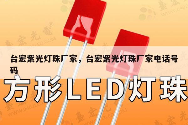 台宏紫光灯珠厂家，台宏紫光灯珠厂家电话号码-第1张图片-led灯珠, 贴片led灯珠, 直插led灯珠, 大功率灯珠, 3528灯珠, led灯珠厂家广东台宏光电科技有限公司 服务热线400-689-8189