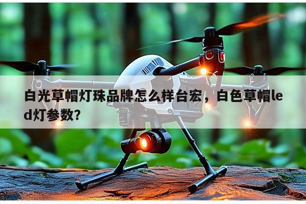 白光草帽灯珠品牌怎么样台宏，白色草帽led灯参数？-第1张图片-led灯珠, 贴片led灯珠, 直插led灯珠, 大功率灯珠, 3528灯珠, led灯珠厂家广东台宏光电科技有限公司 服务热线400-689-8189