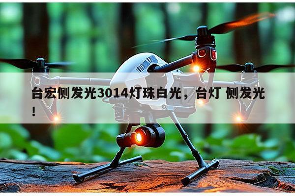 台宏侧发光3014灯珠白光，台灯 侧发光！-第1张图片-led灯珠, 贴片led灯珠, 直插led灯珠, 大功率灯珠, 3528灯珠, led灯珠厂家广东台宏光电科技有限公司 服务热线400-689-8189