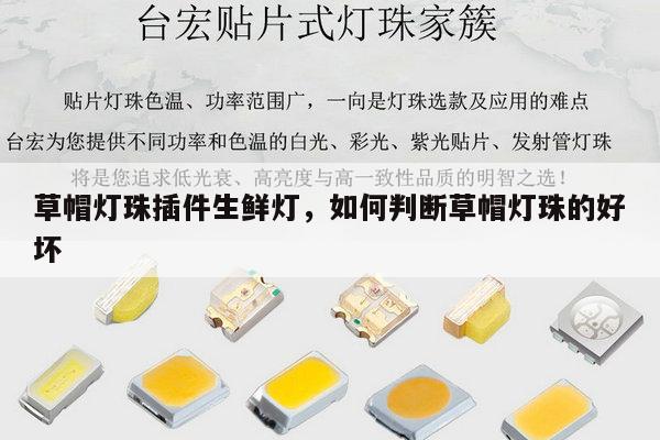 草帽灯珠插件生鲜灯，如何判断草帽灯珠的好坏-第1张图片-led灯珠, 贴片led灯珠, 直插led灯珠, 大功率灯珠, 3528灯珠, led灯珠厂家广东台宏光电科技有限公司 服务热线400-689-8189