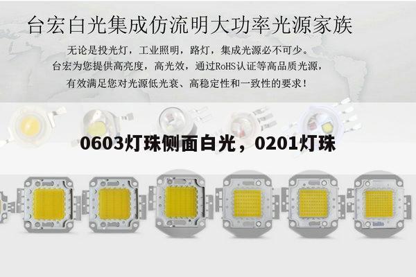 0603灯珠侧面白光，0201灯珠-第1张图片-led灯珠, 贴片led灯珠, 直插led灯珠, 大功率灯珠, 3528灯珠, led灯珠厂家广东台宏光电科技有限公司 服务热线400-689-8189
