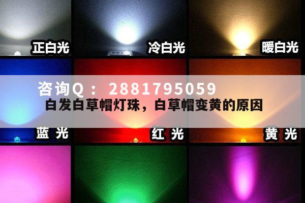 白发白草帽灯珠，白草帽变黄的原因-第1张图片-led灯珠, 贴片led灯珠, 直插led灯珠, 大功率灯珠, 3528灯珠, led灯珠厂家广东台宏光电科技有限公司 服务热线400-689-8189