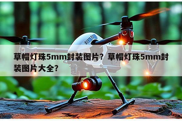 草帽灯珠5mm封装图片?草帽灯珠5mm封装图片大全?-第1张图片-led灯珠, 贴片led灯珠, 直插led灯珠, 大功率灯珠, 3528灯珠, led灯珠厂家广东台宏光电科技有限公司 服务热线400-689-8189 草帽灯珠5mm封装图片?草帽灯珠5mm封装图片大全?-第1张图片-led灯珠, 贴片led灯珠, 直插led灯珠, 大功率灯珠, 3528灯珠, led灯珠厂家广东台宏光电科技有限公司 服务热线400-689-8189