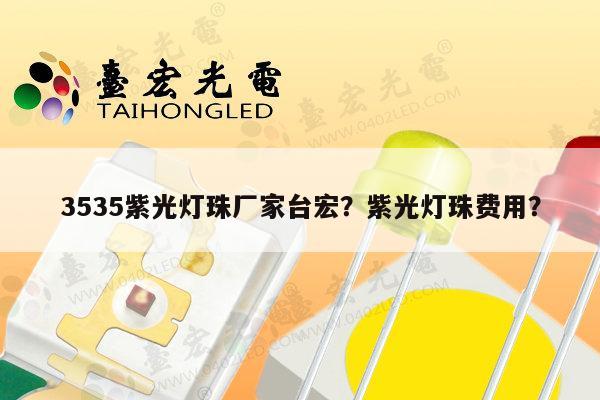 3535紫光灯珠厂家台宏？紫光灯珠费用？-第1张图片-led灯珠, 贴片led灯珠, 直插led灯珠, 大功率灯珠, 3528灯珠, led灯珠厂家广东台宏光电科技有限公司 服务热线400-689-8189