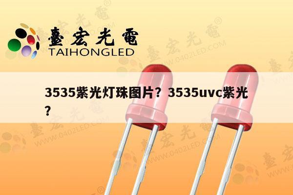 3535紫光灯珠图片?3535uvc紫光?-第1张图片-led灯珠, 贴片led灯珠, 直插led灯珠, 大功率灯珠, 3528灯珠, led灯珠厂家广东台宏光电科技有限公司 服务热线400-689-8189 3535紫光灯珠图片?3535uvc紫光?-第1张图片-led灯珠, 贴片led灯珠, 直插led灯珠, 大功率灯珠, 3528灯珠, led灯珠厂家广东台宏光电科技有限公司 服务热线400-689-8189