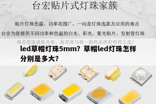 led草帽灯珠5mm？草帽led灯珠怎样分别是多大？-第1张图片-led灯珠, 贴片led灯珠, 直插led灯珠, 大功率灯珠, 3528灯珠, led灯珠厂家广东台宏光电科技有限公司 服务热线400-689-8189