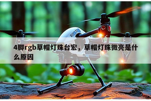 4脚rgb草帽灯珠台宏,草帽灯珠微亮是什么原因-第1张图片-led灯珠, 贴片led灯珠, 直插led灯珠, 大功率灯珠, 3528灯珠, led灯珠厂家广东台宏光电科技有限公司 服务热线400-689-8189 4脚rgb草帽灯珠台宏,草帽灯珠微亮是什么原因-第1张图片-led灯珠, 贴片led灯珠, 直插led灯珠, 大功率灯珠, 3528灯珠, led灯珠厂家广东台宏光电科技有限公司 服务热线400-689-8189