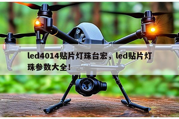 led4014贴片灯珠台宏，led贴片灯珠参数大全！-第1张图片-led灯珠, 贴片led灯珠, 直插led灯珠, 大功率灯珠, 3528灯珠, led灯珠厂家广东台宏光电科技有限公司 服务热线400-689-8189