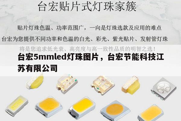 台宏5mmled灯珠图片,台宏节能科技江苏有限公司-第1张图片-led灯珠, 贴片led灯珠, 直插led灯珠, 大功率灯珠, 3528灯珠, led灯珠厂家广东台宏光电科技有限公司 服务热线400-689-8189 台宏5mmled灯珠图片,台宏节能科技江苏有限公司-第1张图片-led灯珠, 贴片led灯珠, 直插led灯珠, 大功率灯珠, 3528灯珠, led灯珠厂家广东台宏光电科技有限公司 服务热线400-689-8189