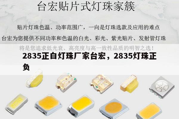 2835正白灯珠厂家台宏,2835灯珠正负-第1张图片-led灯珠, 贴片led灯珠, 直插led灯珠, 大功率灯珠, 3528灯珠, led灯珠厂家广东台宏光电科技有限公司 服务热线400-689-8189 2835正白灯珠厂家台宏,2835灯珠正负-第1张图片-led灯珠, 贴片led灯珠, 直插led灯珠, 大功率灯珠, 3528灯珠, led灯珠厂家广东台宏光电科技有限公司 服务热线400-689-8189