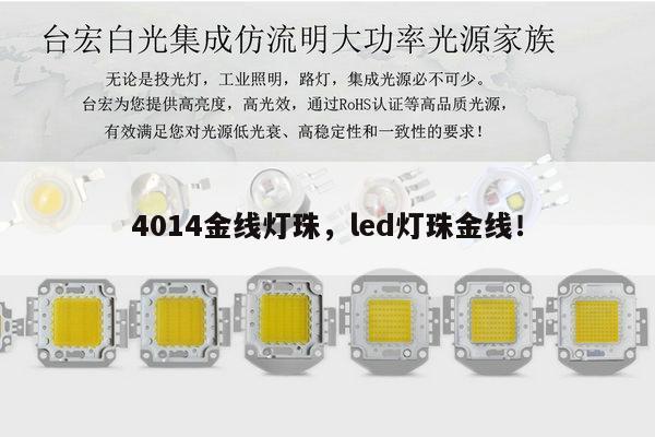 4014金线灯珠,led灯珠金线!-第1张图片-led灯珠, 贴片led灯珠, 直插led灯珠, 大功率灯珠, 3528灯珠, led灯珠厂家广东台宏光电科技有限公司 服务热线400-689-8189 4014金线灯珠,led灯珠金线!-第1张图片-led灯珠, 贴片led灯珠, 直插led灯珠, 大功率灯珠, 3528灯珠, led灯珠厂家广东台宏光电科技有限公司 服务热线400-689-8189