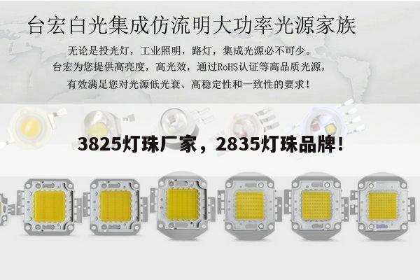 3825灯珠厂家,2835灯珠品牌!-第1张图片-led灯珠, 贴片led灯珠, 直插led灯珠, 大功率灯珠, 3528灯珠, led灯珠厂家广东台宏光电科技有限公司 服务热线400-689-8189 3825灯珠厂家,2835灯珠品牌!-第1张图片-led灯珠, 贴片led灯珠, 直插led灯珠, 大功率灯珠, 3528灯珠, led灯珠厂家广东台宏光电科技有限公司 服务热线400-689-8189