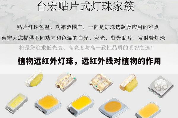 植物远红外灯珠,远红外线对植物的作用-第1张图片-led灯珠, 贴片led灯珠, 直插led灯珠, 大功率灯珠, 3528灯珠, led灯珠厂家广东台宏光电科技有限公司 服务热线400-689-8189 植物远红外灯珠,远红外线对植物的作用-第1张图片-led灯珠, 贴片led灯珠, 直插led灯珠, 大功率灯珠, 3528灯珠, led灯珠厂家广东台宏光电科技有限公司 服务热线400-689-8189