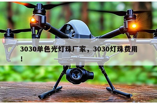 3030单色光灯珠厂家,3030灯珠费用!-第1张图片-led灯珠, 贴片led灯珠, 直插led灯珠, 大功率灯珠, 3528灯珠, led灯珠厂家广东台宏光电科技有限公司 服务热线400-689-8189 3030单色光灯珠厂家,3030灯珠费用!-第1张图片-led灯珠, 贴片led灯珠, 直插led灯珠, 大功率灯珠, 3528灯珠, led灯珠厂家广东台宏光电科技有限公司 服务热线400-689-8189