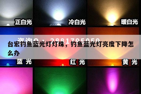 台宏钓鱼蓝光灯灯珠,钓鱼蓝光灯亮度下降怎么办-第1张图片-led灯珠, 贴片led灯珠, 直插led灯珠, 大功率灯珠, 3528灯珠, led灯珠厂家广东台宏光电科技有限公司 服务热线400-689-8189 台宏钓鱼蓝光灯灯珠,钓鱼蓝光灯亮度下降怎么办-第1张图片-led灯珠, 贴片led灯珠, 直插led灯珠, 大功率灯珠, 3528灯珠, led灯珠厂家广东台宏光电科技有限公司 服务热线400-689-8189