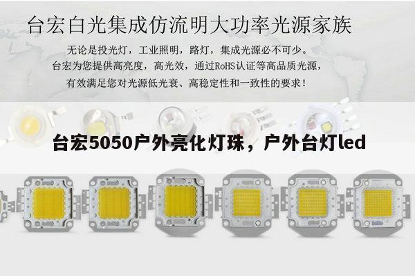 台宏5050户外亮化灯珠，户外台灯led-第1张图片-led灯珠, 贴片led灯珠, 直插led灯珠, 大功率灯珠, 3528灯珠, led灯珠厂家广东台宏光电科技有限公司 服务热线400-689-8189