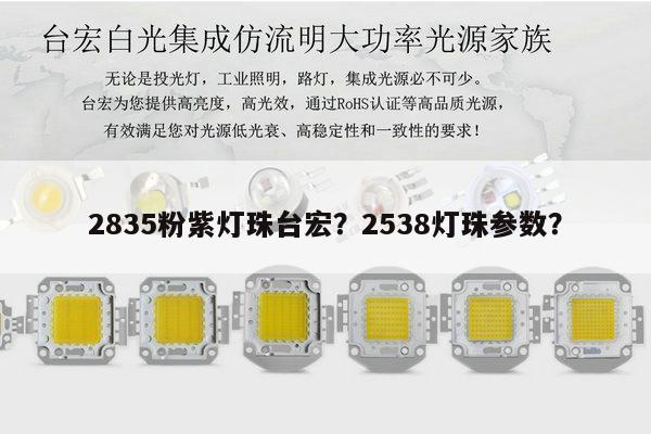 2835粉紫灯珠台宏?2538灯珠参数?-第1张图片-led灯珠, 贴片led灯珠, 直插led灯珠, 大功率灯珠, 3528灯珠, led灯珠厂家广东台宏光电科技有限公司 服务热线400-689-8189 2835粉紫灯珠台宏?2538灯珠参数?-第1张图片-led灯珠, 贴片led灯珠, 直插led灯珠, 大功率灯珠, 3528灯珠, led灯珠厂家广东台宏光电科技有限公司 服务热线400-689-8189