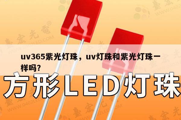 uv365紫光灯珠,uv灯珠和紫光灯珠一样吗?-第1张图片-led灯珠, 贴片led灯珠, 直插led灯珠, 大功率灯珠, 3528灯珠, led灯珠厂家广东台宏光电科技有限公司 服务热线400-689-8189 uv365紫光灯珠,uv灯珠和紫光灯珠一样吗?-第1张图片-led灯珠, 贴片led灯珠, 直插led灯珠, 大功率灯珠, 3528灯珠, led灯珠厂家广东台宏光电科技有限公司 服务热线400-689-8189