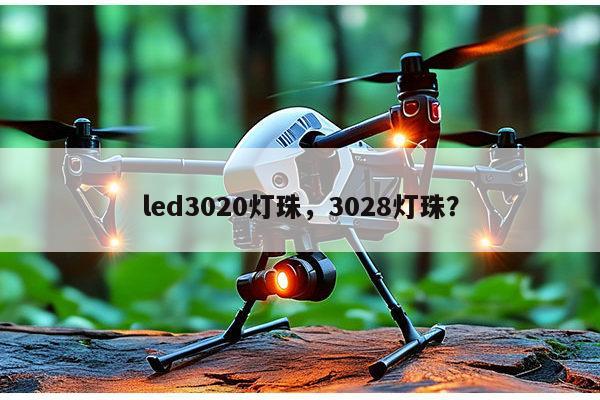 led3020灯珠，3028灯珠？-第1张图片-led灯珠, 贴片led灯珠, 直插led灯珠, 大功率灯珠, 3528灯珠, led灯珠厂家广东台宏光电科技有限公司 服务热线400-689-8189