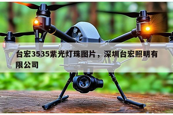 台宏3535紫光灯珠图片，深圳台宏照明有限公司-第1张图片-led灯珠, 贴片led灯珠, 直插led灯珠, 大功率灯珠, 3528灯珠, led灯珠厂家广东台宏光电科技有限公司 服务热线400-689-8189