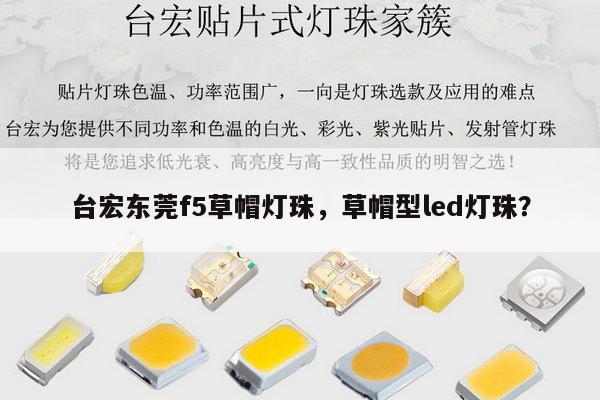 台宏东莞f5草帽灯珠，草帽型led灯珠？-第1张图片-led灯珠, 贴片led灯珠, 直插led灯珠, 大功率灯珠, 3528灯珠, led灯珠厂家广东台宏光电科技有限公司 服务热线400-689-8189
