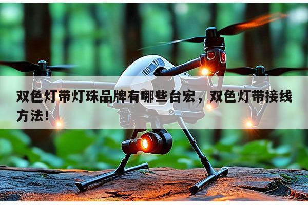 双色灯带灯珠品牌有哪些台宏，双色灯带接线方法！-第1张图片-led灯珠, 贴片led灯珠, 直插led灯珠, 大功率灯珠, 3528灯珠, led灯珠厂家广东台宏光电科技有限公司 服务热线400-689-8189