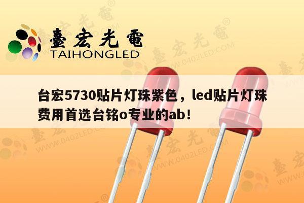 台宏5730贴片灯珠紫色,led贴片灯珠费用首选台铭o专业的ab!-第1张图片-led灯珠, 贴片led灯珠, 直插led灯珠, 大功率灯珠, 3528灯珠, led灯珠厂家广东台宏光电科技有限公司 服务热线400-689-8189 台宏5730贴片灯珠紫色,led贴片灯珠费用首选台铭o专业的ab!-第1张图片-led灯珠, 贴片led灯珠, 直插led灯珠, 大功率灯珠, 3528灯珠, led灯珠厂家广东台宏光电科技有限公司 服务热线400-689-8189