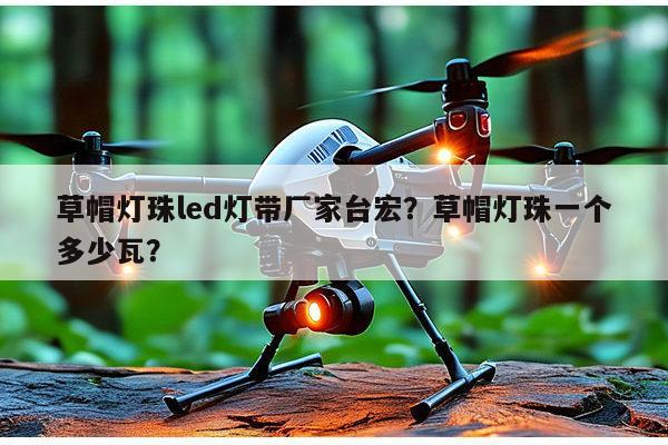 草帽灯珠led灯带厂家台宏？草帽灯珠一个多少瓦？-第1张图片-led灯珠, 贴片led灯珠, 直插led灯珠, 大功率灯珠, 3528灯珠, led灯珠厂家广东台宏光电科技有限公司 服务热线400-689-8189