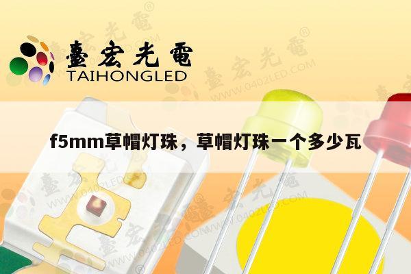 f5mm草帽灯珠，草帽灯珠一个多少瓦-第1张图片-led灯珠, 贴片led灯珠, 直插led灯珠, 大功率灯珠, 3528灯珠, led灯珠厂家广东台宏光电科技有限公司 服务热线400-689-8189