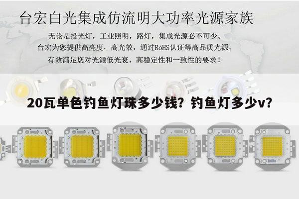 20瓦单色钓鱼灯珠多少钱？钓鱼灯多少v？-第1张图片-led灯珠, 贴片led灯珠, 直插led灯珠, 大功率灯珠, 3528灯珠, led灯珠厂家广东台宏光电科技有限公司 服务热线400-689-8189