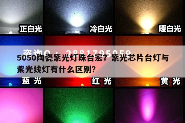 5050陶瓷紫光灯珠台宏？紫光芯片台灯与紫光线灯有什么区别？-第1张图片-led灯珠, 贴片led灯珠, 直插led灯珠, 大功率灯珠, 3528灯珠, led灯珠厂家广东台宏光电科技有限公司 服务热线400-689-8189