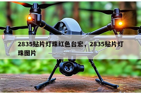 2835贴片灯珠红色台宏,2835贴片灯珠图片-第1张图片-led灯珠, 贴片led灯珠, 直插led灯珠, 大功率灯珠, 3528灯珠, led灯珠厂家广东台宏光电科技有限公司 服务热线400-689-8189 2835贴片灯珠红色台宏,2835贴片灯珠图片-第1张图片-led灯珠, 贴片led灯珠, 直插led灯珠, 大功率灯珠, 3528灯珠, led灯珠厂家广东台宏光电科技有限公司 服务热线400-689-8189