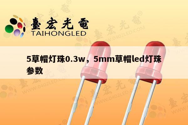 5草帽灯珠0.3w,5mm草帽led灯珠参数-第1张图片-led灯珠, 贴片led灯珠, 直插led灯珠, 大功率灯珠, 3528灯珠, led灯珠厂家广东台宏光电科技有限公司 服务热线400-689-8189 5草帽灯珠0.3w,5mm草帽led灯珠参数-第1张图片-led灯珠, 贴片led灯珠, 直插led灯珠, 大功率灯珠, 3528灯珠, led灯珠厂家广东台宏光电科技有限公司 服务热线400-689-8189