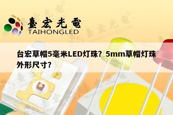 台宏草帽5毫米LED灯珠?5mm草帽灯珠外形尺寸?-第1张图片-led灯珠, 贴片led灯珠, 直插led灯珠, 大功率灯珠, 3528灯珠, led灯珠厂家广东台宏光电科技有限公司 服务热线400-689-8189 台宏草帽5毫米LED灯珠?5mm草帽灯珠外形尺寸?-第1张图片-led灯珠, 贴片led灯珠, 直插led灯珠, 大功率灯珠, 3528灯珠, led灯珠厂家广东台宏光电科技有限公司 服务热线400-689-8189