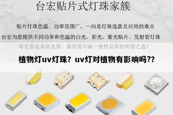 植物灯uv灯珠？uv灯对植物有影响吗?？-第1张图片-led灯珠, 贴片led灯珠, 直插led灯珠, 大功率灯珠, 3528灯珠, led灯珠厂家广东台宏光电科技有限公司 服务热线400-689-8189
