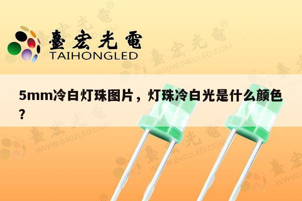 5mm冷白灯珠图片,灯珠冷白光是什么颜色?-第1张图片-led灯珠, 贴片led灯珠, 直插led灯珠, 大功率灯珠, 3528灯珠, led灯珠厂家广东台宏光电科技有限公司 服务热线400-689-8189 5mm冷白灯珠图片,灯珠冷白光是什么颜色?-第1张图片-led灯珠, 贴片led灯珠, 直插led灯珠, 大功率灯珠, 3528灯珠, led灯珠厂家广东台宏光电科技有限公司 服务热线400-689-8189