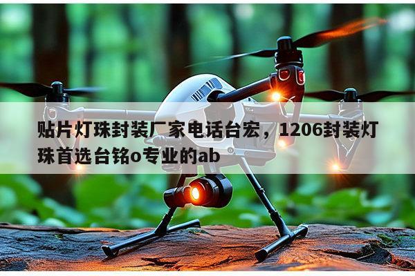 贴片灯珠封装厂家电话台宏,1206封装灯珠首选台铭o专业的ab-第1张图片-led灯珠, 贴片led灯珠, 直插led灯珠, 大功率灯珠, 3528灯珠, led灯珠厂家广东台宏光电科技有限公司 服务热线400-689-8189 贴片灯珠封装厂家电话台宏,1206封装灯珠首选台铭o专业的ab-第1张图片-led灯珠, 贴片led灯珠, 直插led灯珠, 大功率灯珠, 3528灯珠, led灯珠厂家广东台宏光电科技有限公司 服务热线400-689-8189