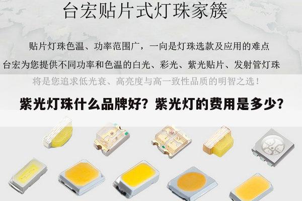 紫光灯珠什么品牌好？紫光灯的费用是多少？-第1张图片-led灯珠, 贴片led灯珠, 直插led灯珠, 大功率灯珠, 3528灯珠, led灯珠厂家广东台宏光电科技有限公司 服务热线400-689-8189