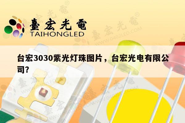 台宏3030紫光灯珠图片,台宏光电有限公司?-第1张图片-led灯珠, 贴片led灯珠, 直插led灯珠, 大功率灯珠, 3528灯珠, led灯珠厂家广东台宏光电科技有限公司 服务热线400-689-8189 台宏3030紫光灯珠图片,台宏光电有限公司?-第1张图片-led灯珠, 贴片led灯珠, 直插led灯珠, 大功率灯珠, 3528灯珠, led灯珠厂家广东台宏光电科技有限公司 服务热线400-689-8189