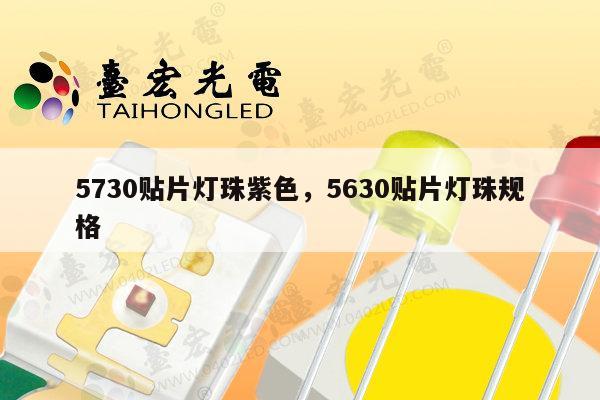 5730贴片灯珠紫色，5630贴片灯珠规格-第1张图片-led灯珠, 贴片led灯珠, 直插led灯珠, 大功率灯珠, 3528灯珠, led灯珠厂家广东台宏光电科技有限公司 服务热线400-689-8189