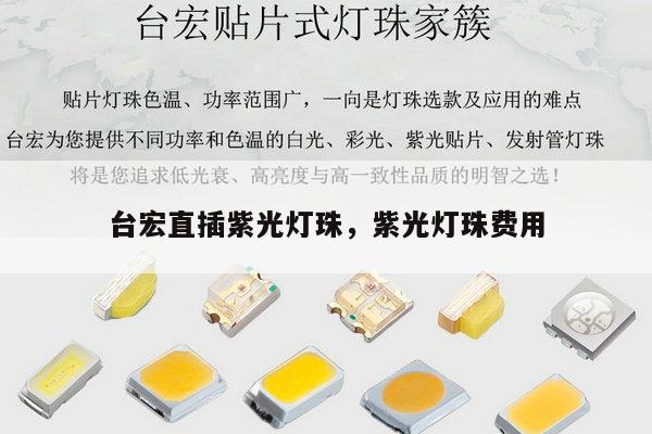 台宏直插紫光灯珠，紫光灯珠费用-第1张图片-led灯珠, 贴片led灯珠, 直插led灯珠, 大功率灯珠, 3528灯珠, led灯珠厂家广东台宏光电科技有限公司 服务热线400-689-8189