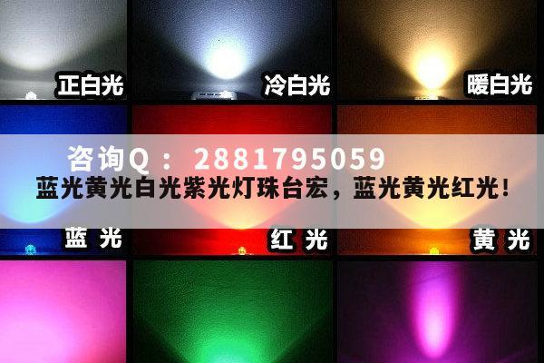蓝光黄光白光紫光灯珠台宏，蓝光黄光红光！-第1张图片-led灯珠, 贴片led灯珠, 直插led灯珠, 大功率灯珠, 3528灯珠, led灯珠厂家广东台宏光电科技有限公司 服务热线400-689-8189