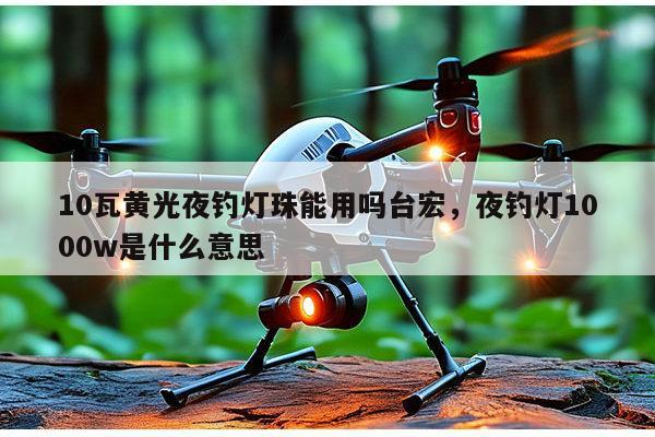 10瓦黄光夜钓灯珠能用吗台宏，夜钓灯1000w是什么意思-第1张图片-led灯珠, 贴片led灯珠, 直插led灯珠, 大功率灯珠, 3528灯珠, led灯珠厂家广东台宏光电科技有限公司 服务热线400-689-8189