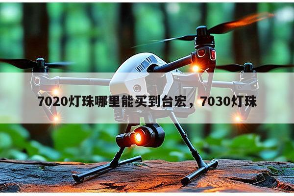 7020灯珠哪里能买到台宏，7030灯珠-第1张图片-led灯珠, 贴片led灯珠, 直插led灯珠, 大功率灯珠, 3528灯珠, led灯珠厂家广东台宏光电科技有限公司 服务热线400-689-8189