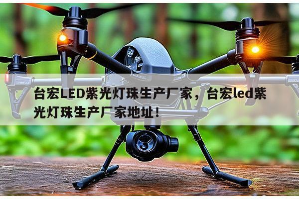 台宏LED紫光灯珠生产厂家，台宏led紫光灯珠生产厂家地址！-第1张图片-led灯珠, 贴片led灯珠, 直插led灯珠, 大功率灯珠, 3528灯珠, led灯珠厂家广东台宏光电科技有限公司 服务热线400-689-8189