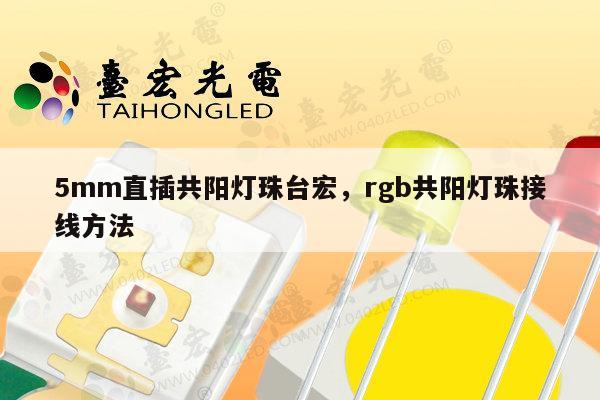 5mm直插共阳灯珠台宏,rgb共阳灯珠接线方法-第1张图片-led灯珠, 贴片led灯珠, 直插led灯珠, 大功率灯珠, 3528灯珠, led灯珠厂家广东台宏光电科技有限公司 服务热线400-689-8189 5mm直插共阳灯珠台宏,rgb共阳灯珠接线方法-第1张图片-led灯珠, 贴片led灯珠, 直插led灯珠, 大功率灯珠, 3528灯珠, led灯珠厂家广东台宏光电科技有限公司 服务热线400-689-8189
