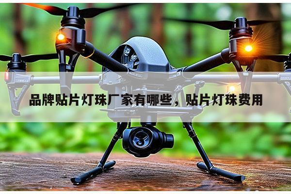 品牌贴片灯珠厂家有哪些，贴片灯珠费用-第1张图片-led灯珠, 贴片led灯珠, 直插led灯珠, 大功率灯珠, 3528灯珠, led灯珠厂家广东台宏光电科技有限公司 服务热线400-689-8189