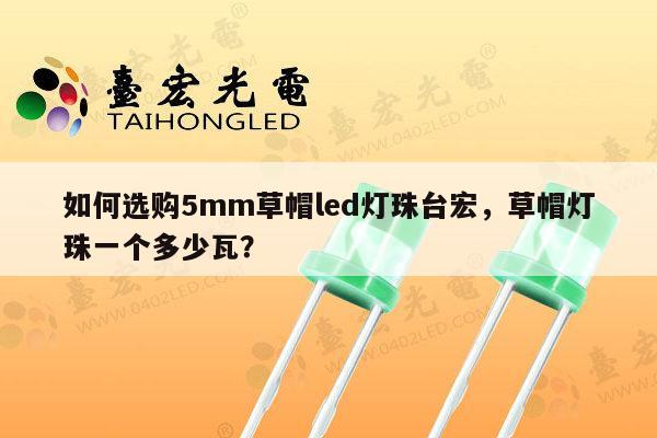 如何选购5mm草帽led灯珠台宏，草帽灯珠一个多少瓦？-第1张图片-led灯珠, 贴片led灯珠, 直插led灯珠, 大功率灯珠, 3528灯珠, led灯珠厂家广东台宏光电科技有限公司 服务热线400-689-8189