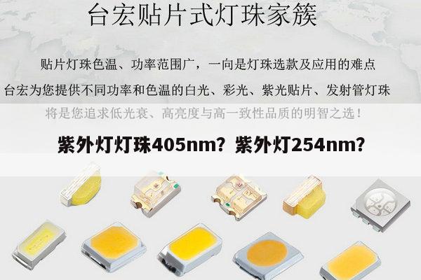 紫外灯灯珠405nm？紫外灯254nm？-第1张图片-led灯珠, 贴片led灯珠, 直插led灯珠, 大功率灯珠, 3528灯珠, led灯珠厂家广东台宏光电科技有限公司 服务热线400-689-8189